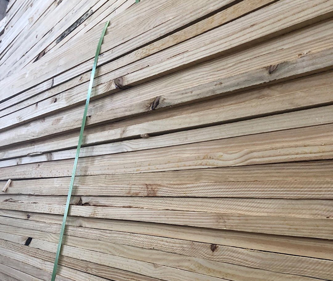 红桥巴西松